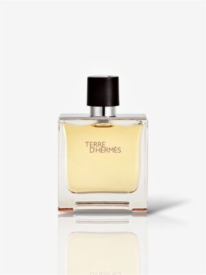 Terre D'hermès - Parfum